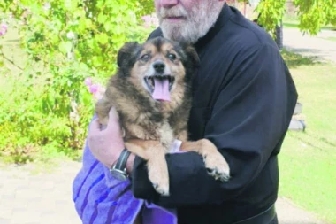 Vrata Ilinja otvorena i za četvoronošce: Manastir gde životinje pronalaze spas od ljudi