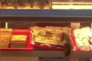 (VIDEO) Samo za one sa jakim stomakom: Nepoželjan gost u pekari degustira peciva pre prodaje