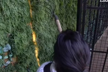 (VIDEO) Zadrugarka pokušala da pobegne: Razvaljivala vilama vrata, pa završila u zatvoru!