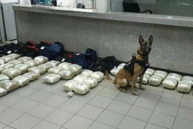 KAD JE VIDEO AUDI, POLICIJSKI PAS NIJE PRESTAJAO DA LAJE:  Policajci našli milionski tovar, a šok je usledio kada su otkrili KO JE ZA VOLANOM