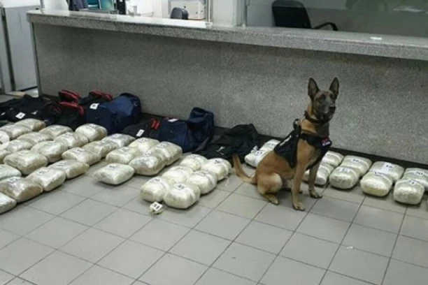 KAD JE VIDEO AUDI, POLICIJSKI PAS NIJE PRESTAJAO DA LAJE:  Policajci našli milionski tovar, a šok je usledio kada su otkrili KO JE ZA VOLANOM