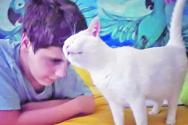 DEČAK OBJASNIO ŠTA JE LJUBAV: Tomina priča koja je rasplakala Srbiju