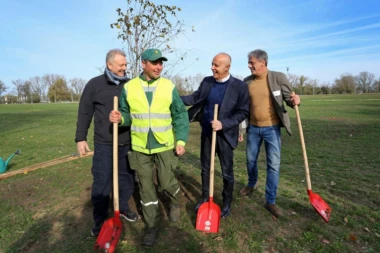 Radojičić: Nova stabla u parku "Ušće" korak ka ostvarenju cilja
