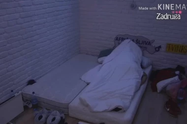(VIDEO 18+) Nasadila mu se na ka*u: Miljana uništila Zolu od se*sa u izolaciji, jahala ko nezdrava, pa pokazala sve DOLE!