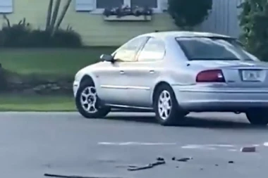 (VIDEO) Pas vozi u rikverc bolje od Miška