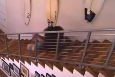 (VIDEO) Ono kad izbrojiš svaki stepenik padajući, pa se svi smeju, a ti plačeš