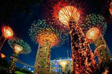 (FOTO) Raj za turiste: Čarobna šuma u Singapuru