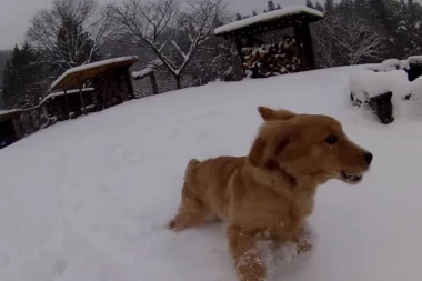 (VIDEO) Zabelelo po Evropi! Snežni oblaci se kreću ka Srbiji: Austrija i Italija zavejane, Hrvatsku pogodio grad!