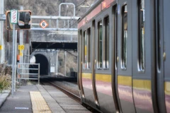 VOZ PREGAZIO MLADIĆA! Užas na Balkanu, momak opušteno išao preko šina u smrt