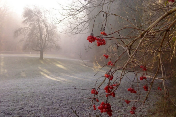 UJUTRU MRAZ I MAGLA, TEMPERATURA U MINUSU! Od sutra prava vremenska klackalica!