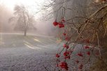 STIŽE NAM PRAVA ZIMA! U pojedinim delovima Srbije moguća je LEDENA KIŠA, ali i stvaranje snežnog pokrivača