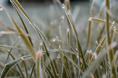 SELO KOD PLJEVALJA PRIRODNI FENOMEN, SMRZAVAJU SE USRED LETA: Kosanica NAJHLADNIJE mesto u Crnoj Gori, jutros izmereno -2!
