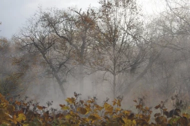 Danas nam magla ne da mira, a uskoro stiže i kiša