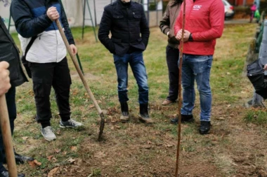 Socijalistička omladina u akciji sadnje drveća i uređenja parkova
