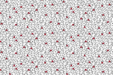 PRONAĐI PSA MEĐU MEDVEDIĆIMA! Proverite svoj VID I KONCENTRACIJU kroz ovu zanimljivu SKRIVALICU!