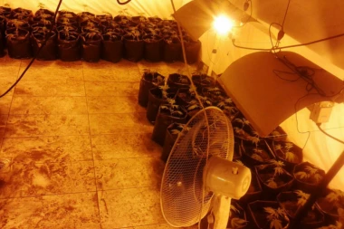 Policija otkrila laboratoriju droge u Sremčici