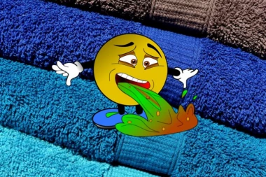 Svratila je kod svekrve, ušla u WC i peškirom obrisala ruke, a kad je shvatila šta je uradila ZGADIO JOJ SE ŽIVOT