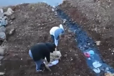 (VIDEO) PARAĆINSKI HEROJI: Uroš i Andrija izvukli povređenog psa iz reke