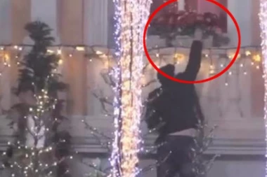 (VIDEO) PROVALJENI! Cirkaju ko ludi, Marija će odlepiti: Miljana i Zola štekaju alkohol u cveću!