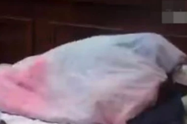 (VIDEO) Tresla se jorgan planina! Miljana i Zola se prepustili strastima, a svi su primetili da Kulićeva uvek radi OVO dok imaju odnos!