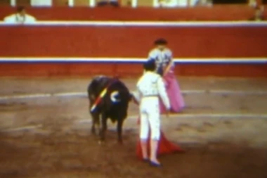 Prva korida van granice Španije održana je na Tašmajdanu! Srbi su svim srcem navijali za BIKA, a evo i zbog čega