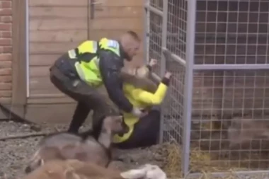 (VIDEO) JEZIVA SCENA: Ermina pokušava da spasi svog psa koji krvari, kopa po zemlji i urla!