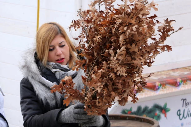 NIKAKO NE BACAJTE BADNJAK! Drvo posle Božića bi trebalo odneti na ovo mesto!