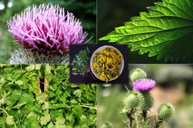 Pet moćnih saveznika za ekspresni detoks: Ovo su najbolji čajevi za čišćenje organizma posle praznika!