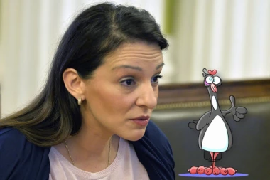 (FOTO, VIDEO) Srpski telegraf posetio Marinikine "naduvane kokoške"