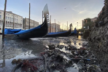 (FOTO, VIDEO) Venecija presušila samo dva meseca posle katastrofalnih poplava