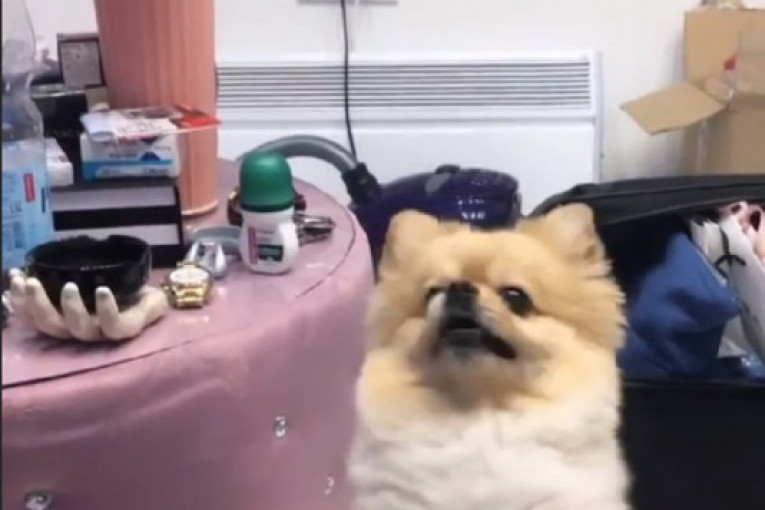 Dalila Dragojević Instagram