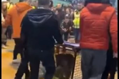 (VIDEO) ZA NEVERICU: Doneli vuka u kavezu na turnir u fudbalu