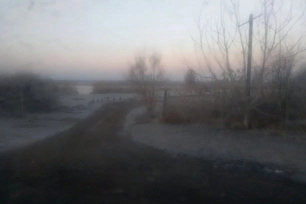 Jeziv prizor! Pronađeno beživotno telo u okolini Stare Pazove