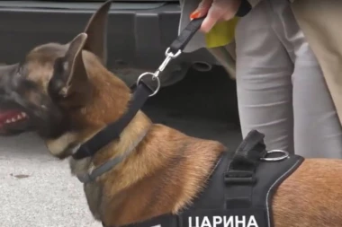 Dovezao se do carine sasvim opušteno i nije imao ništa da prijavi: A onda pas Neron stupa u akciju