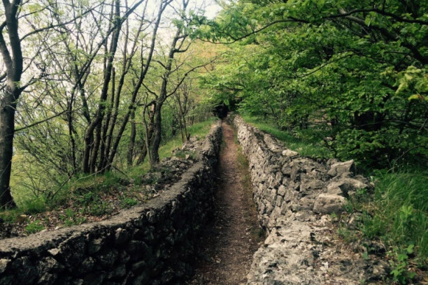Nestanak lekara iz Ćuprije pod velom tajni: Sa ženom šetao po njivi, kada se okrenula - njega nije bilo!