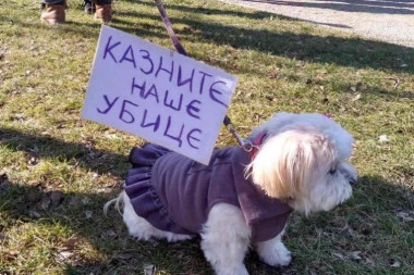 U Pionirskom parku održan protest "Borba za Džekija": Trovanje pasa mora da se zaustavi!