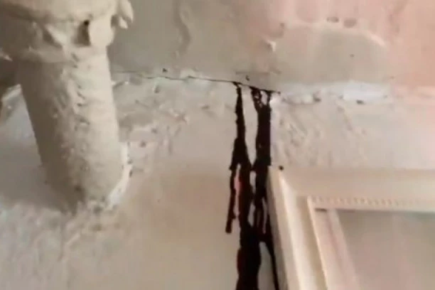 Čovek ležao mrtav u stanu danima, leš otkrili tek kad je komšijama ispod krv počela da se sliva niz zidove