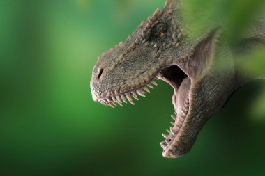 10 stvari koje niste znali o dinosaurusima