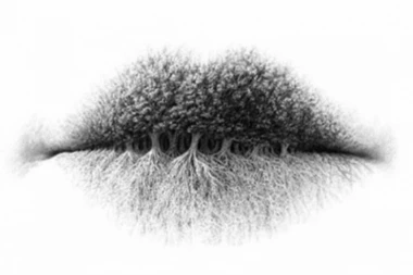 (FOTO) Najtačniji test ličnosti! Ono što prvo ugledate otkriva sve o vama