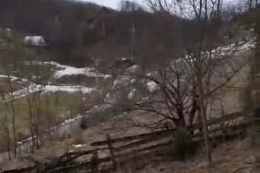 DEKA MILAN IZ GORNJEG MILANOVCA IMA NEOBIČNOG KUĆNOG LJUBIMCA: Zove ga "LEPI", svuda idu zajedno pa čak i na kafu