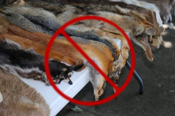 Budućnost mode je veganska! 17 svetskih brendova bez krzna