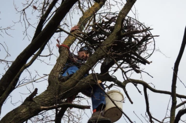 Nova gnezda za najređe orlove