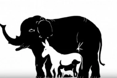 Koliko životinja vidite na ovoj slici? Odgovor će otkriti da li imate jednu posebnu OSOBINU!