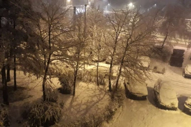 (FOTO) Medak bio zavejan! U Beogradu sinoć pao najkasniji sneg ikada: Evo šta kažu meteorolozi - da li je i poslednji?