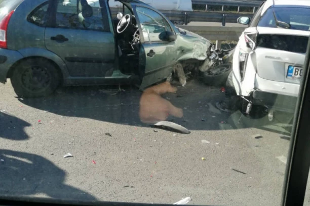 (FOTO) Karambol kod Zmaja: Lančani sudar na izlazu iz Beograda!