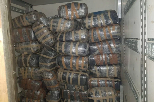 (FOTO) Zaplenjeno 750 kilograma marihuane