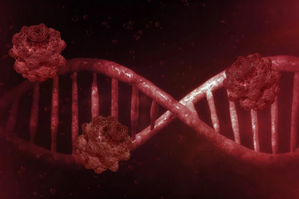 Prekretnica u istraživanju? Holandski naučnici otkrili antitela koja sprečavaju Kovid-19 da uđe u ljudske ćelije!