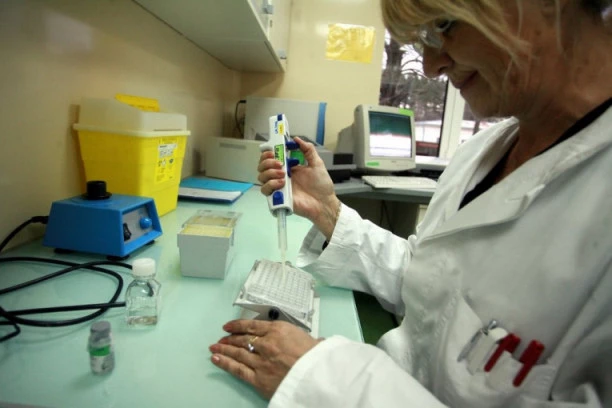 UŽAS NA GRANICI SA SRBIJOM! Potvrđena pojava antraksa - STOKA UMIRE!