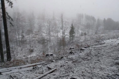 (FOTO) BABA MARTA POKAZALA ZUBE: Posle prolećnih temperatura, sneg prekrio neke delove Srbije!