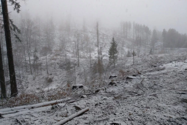 VELIKA OPOMENA! Evo šta znači kad sneg padne u martu!